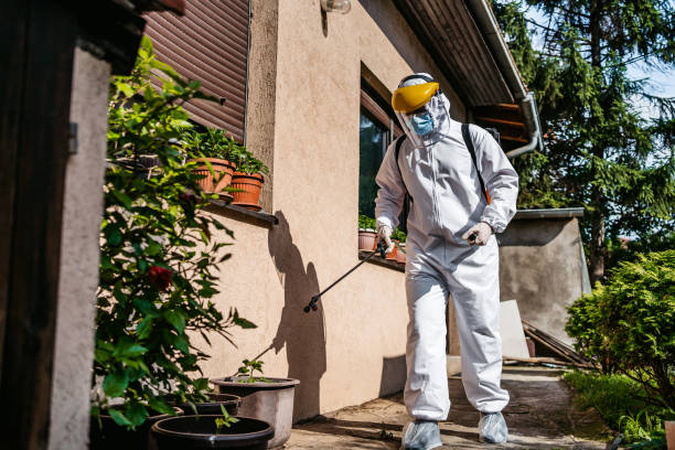 Best Termite Control Services  in Clarks Green, PA