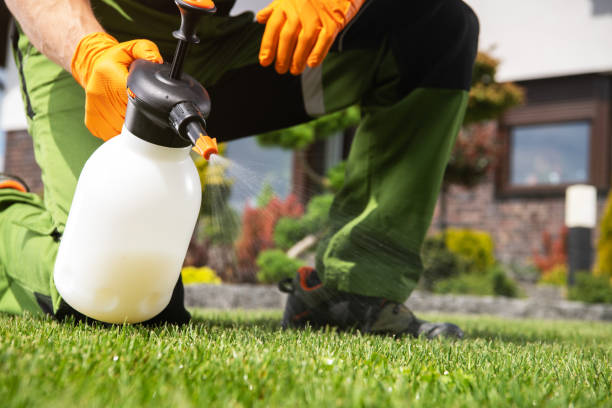 Best Pest Removal Services  in Clarks Green, PA