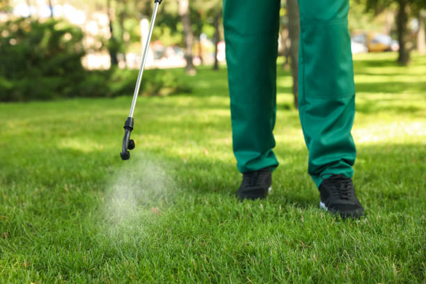 Best Pest Control Treatment  in Clarks Green, PA