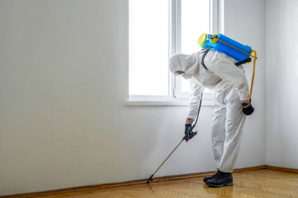 Best Commercial Pest Control Services  in Clarks Green, PA
