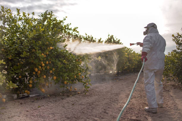 Best Pest Control Near Me  in Clarks Green, PA