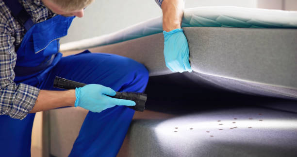 Best Pest Inspection Near Me  in Clarks Green, PA