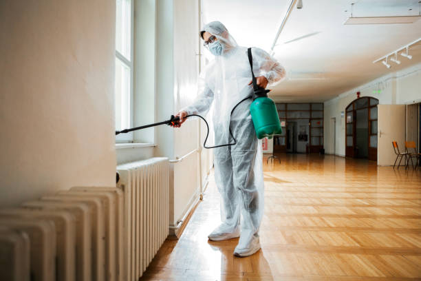 Best Wasp Removal Services  in Clarks Green, PA