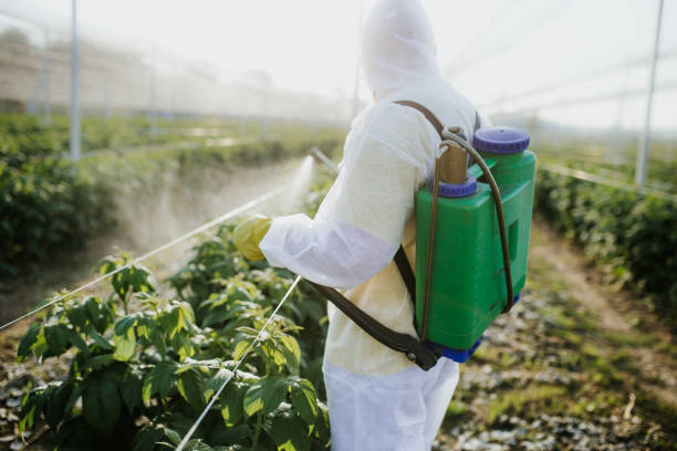 Best Emergency Pest Control  in Clarks Green, PA